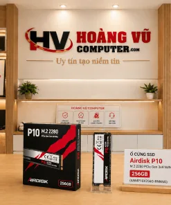 Ổ cứng SSD Airdisk P10 M.2 2280 PCIe Gen 3×4 NVMe 256GB (ANMP10X256G-RNNNG) - Hoàng Vũ Computer