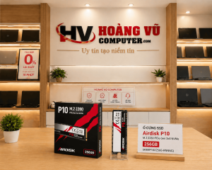 Ổ cứng SSD Airdisk P10 M.2 2280 PCIe Gen 3×4 NVMe 256GB (ANMP10X256G-RNNNG)