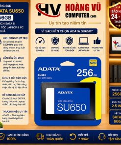 SSD ADATA SU650 256GB 2.5 inch SATA III sử dụng công nghệ 3D NAND, tốc độ đọc 520MB/s, ghi 450MB/s. Nâng cấp laptop và PC hiệu quả tại Hoàng Vũ Computer Quảng Ngãi.
